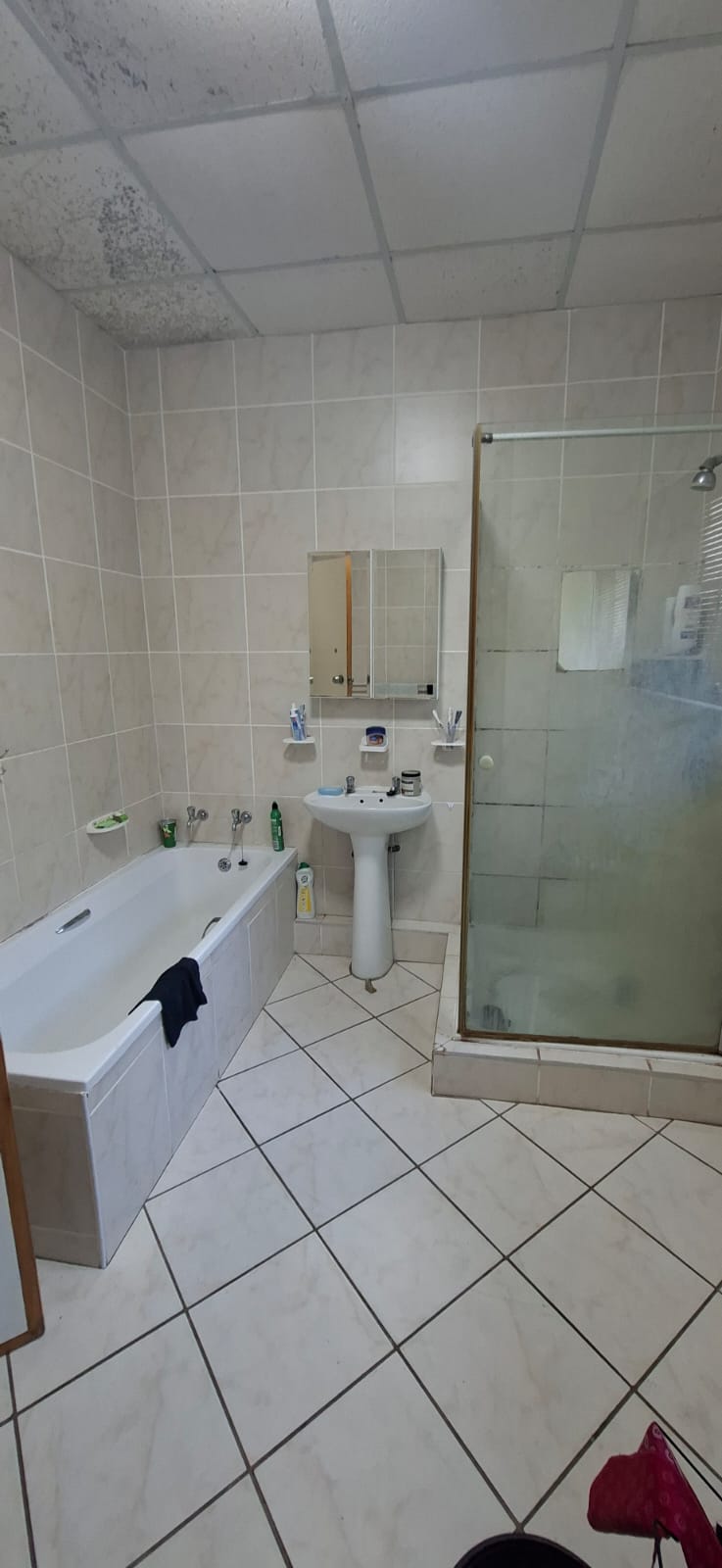 To Let 2 Bedroom Property for Rent in Arboretum Free State